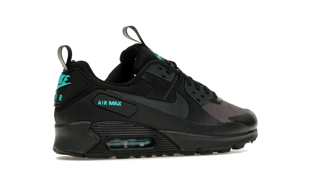Air Max 90 Drift "Black Dusty Cactus"