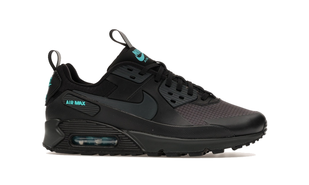 Air Max 90 Drift "Black Dusty Cactus"