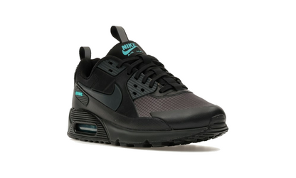 Air Max 90 Drift "Black Dusty Cactus"