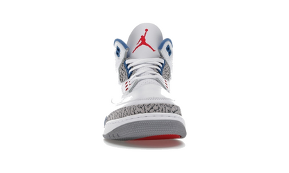 Air Jordan 3 "True Blue" (2026)