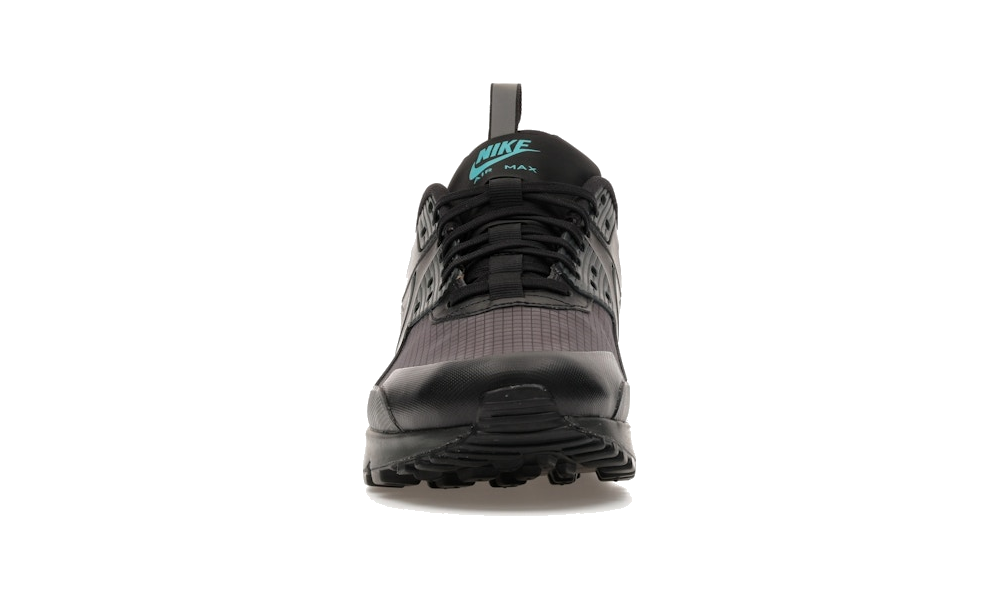 Air Max 90 Drift "Black Dusty Cactus"