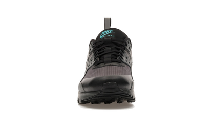 Air Max 90 Drift "Black Dusty Cactus"