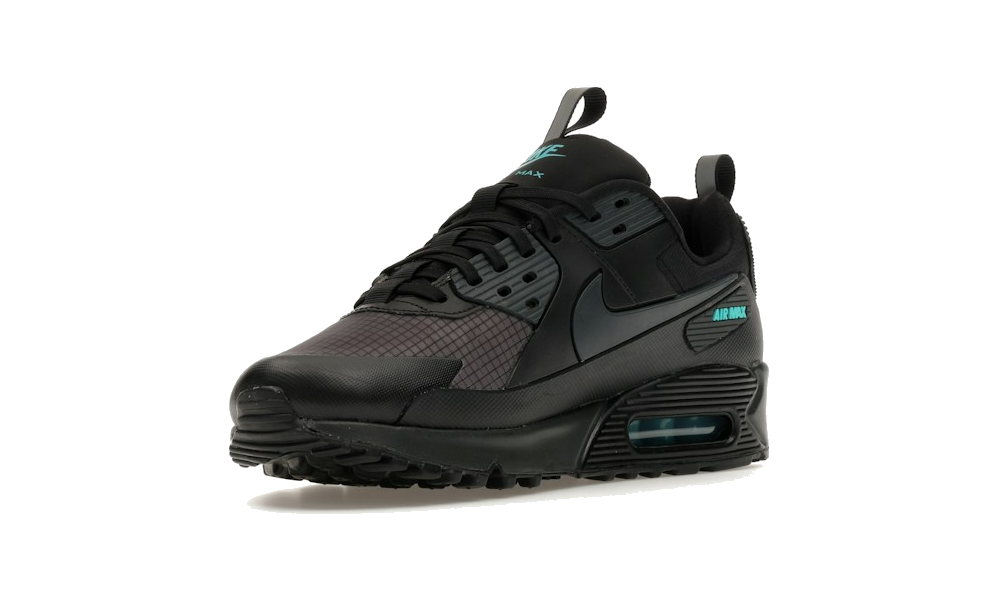 Air Max 90 Drift "Black Dusty Cactus"