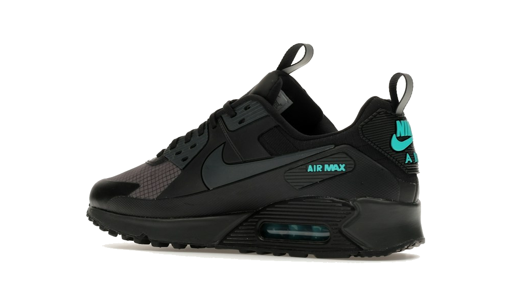 Air Max 90 Drift "Black Dusty Cactus"