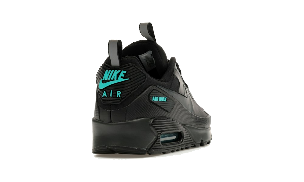 Air Max 90 Drift "Black Dusty Cactus"